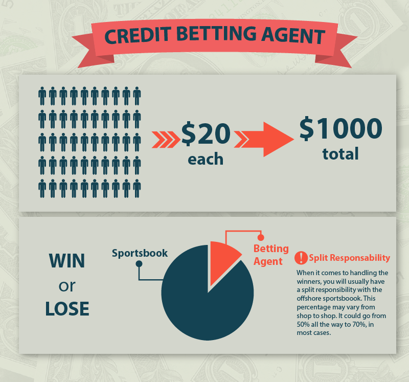 How credit betting agent works